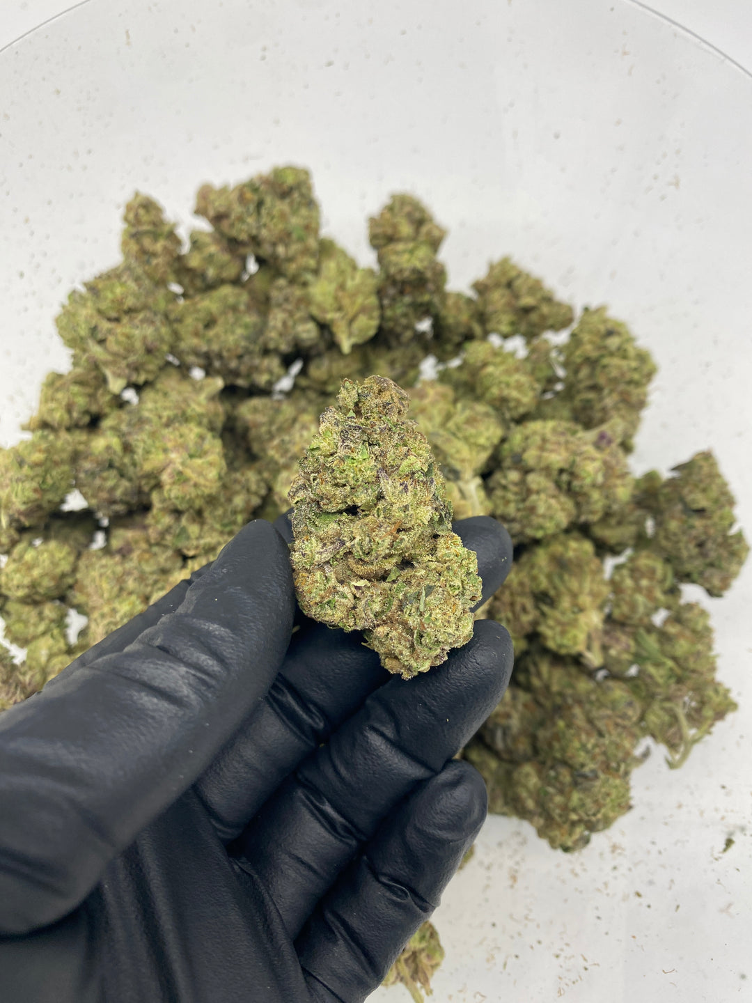 $99 Oz - Commercial Indoors - Mochilato - Flower
