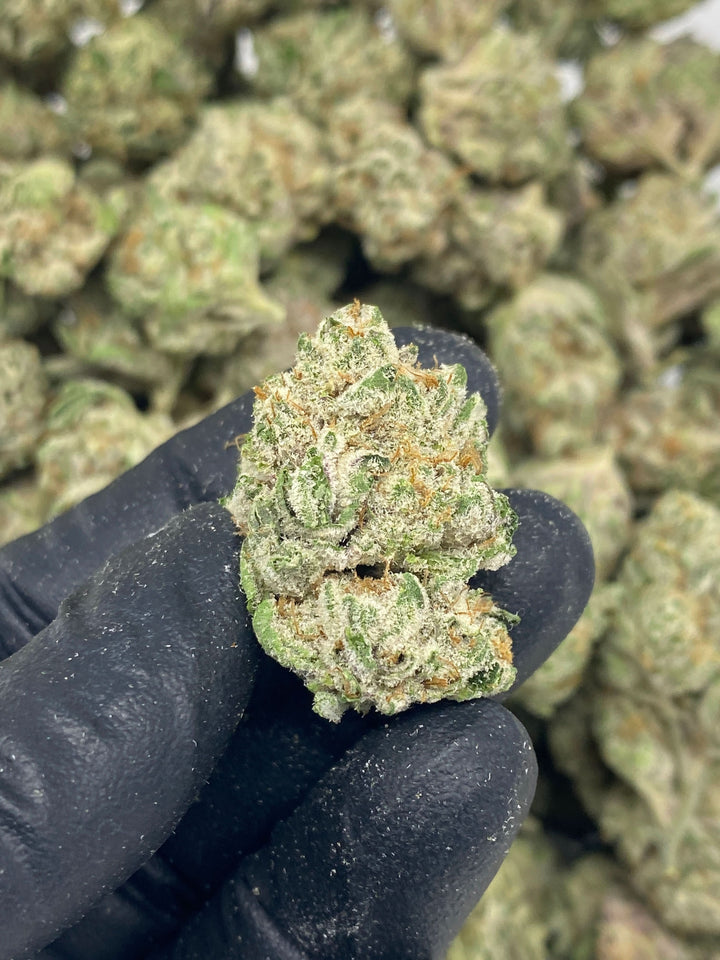 $99 Oz - Commercial Indoors - Modified Mintz - Flower