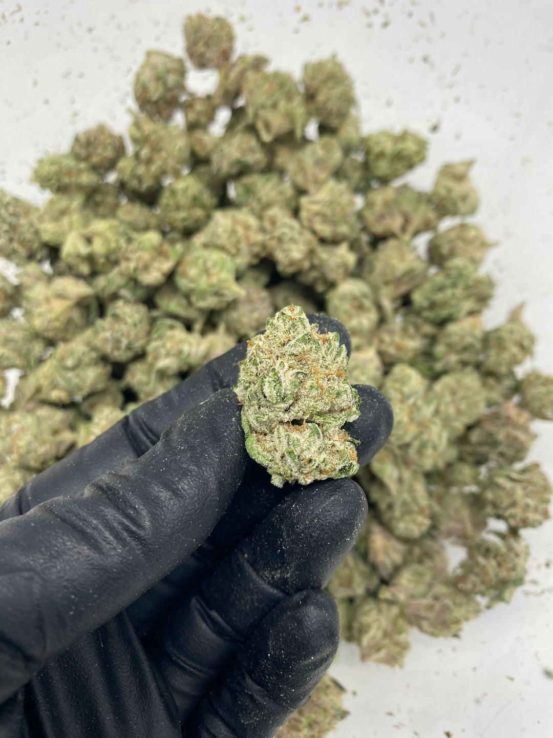 $99 Oz - Commercial Indoors - Modified Mintz - Flower