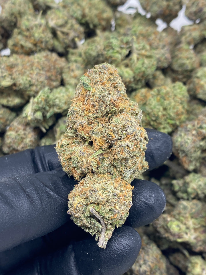 Indoor Exotics - Northern Lights - Flower