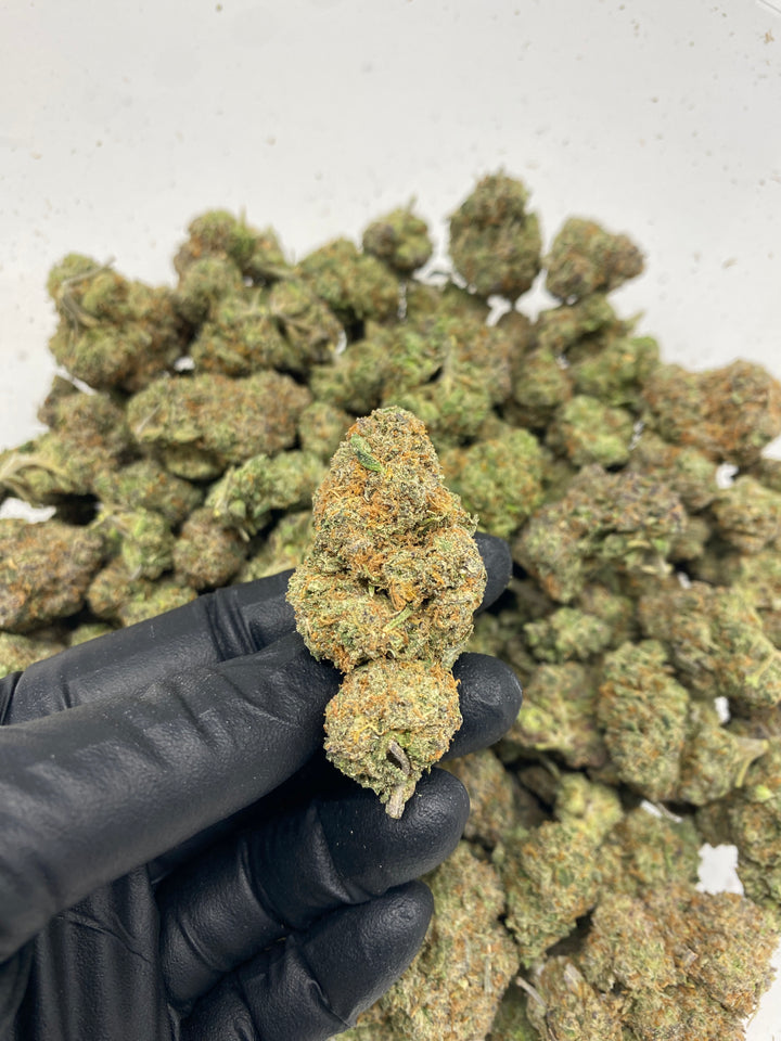 Indoor Exotics - Northern Lights - Flower