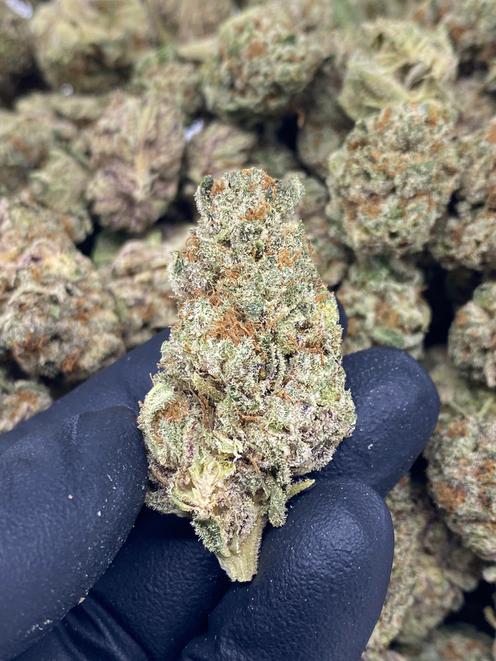 $99 Oz - Commercial Indoors - OG LA Affie - Flower