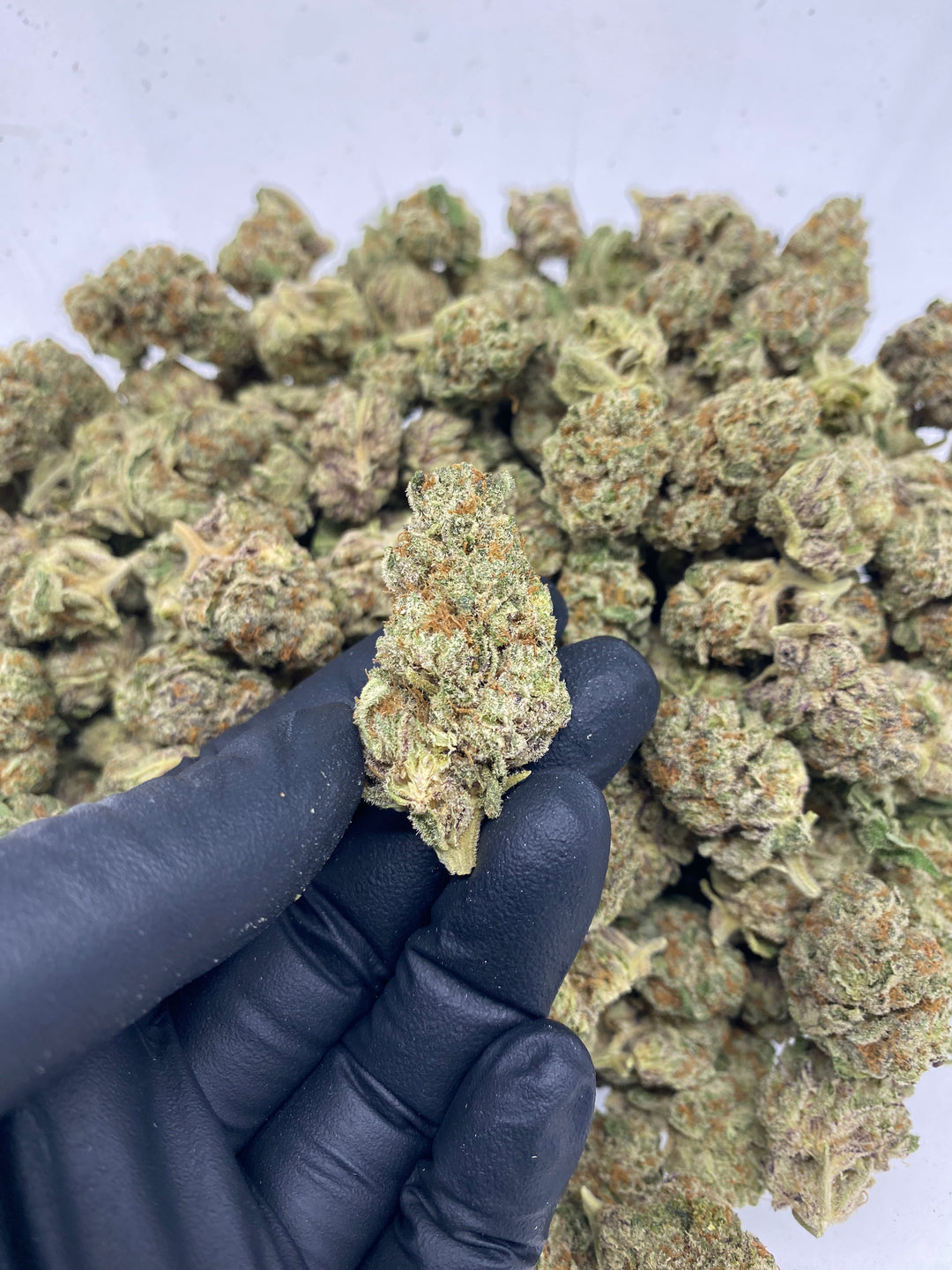 $99 Oz - Commercial Indoors - OG LA Affie - Flower