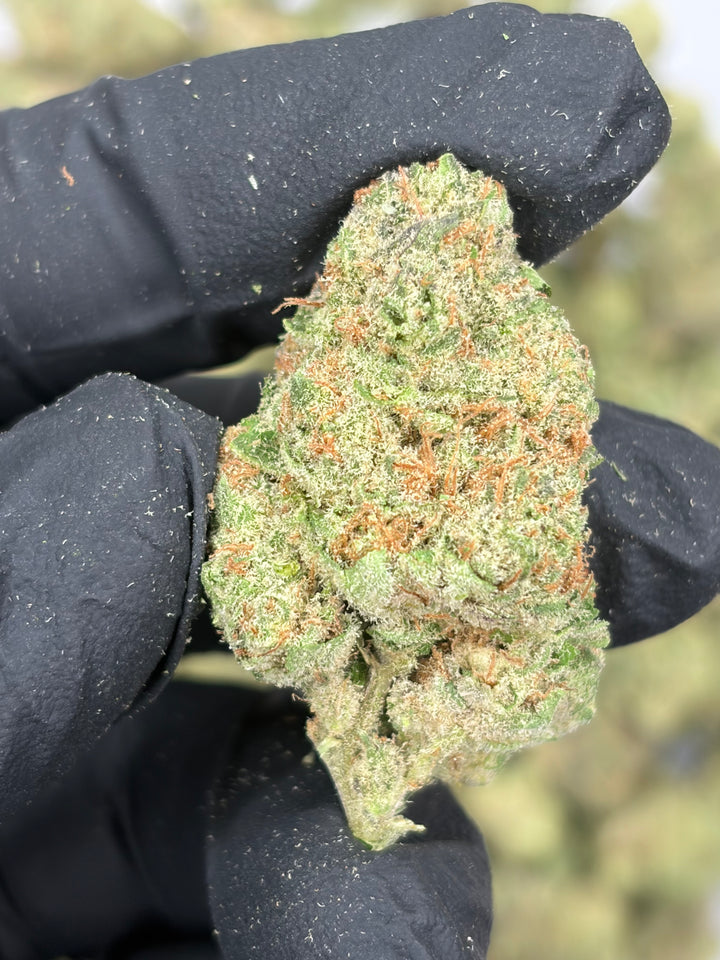 $99 Oz - Indoor Flower - Passion #1 (Indica Hybird)