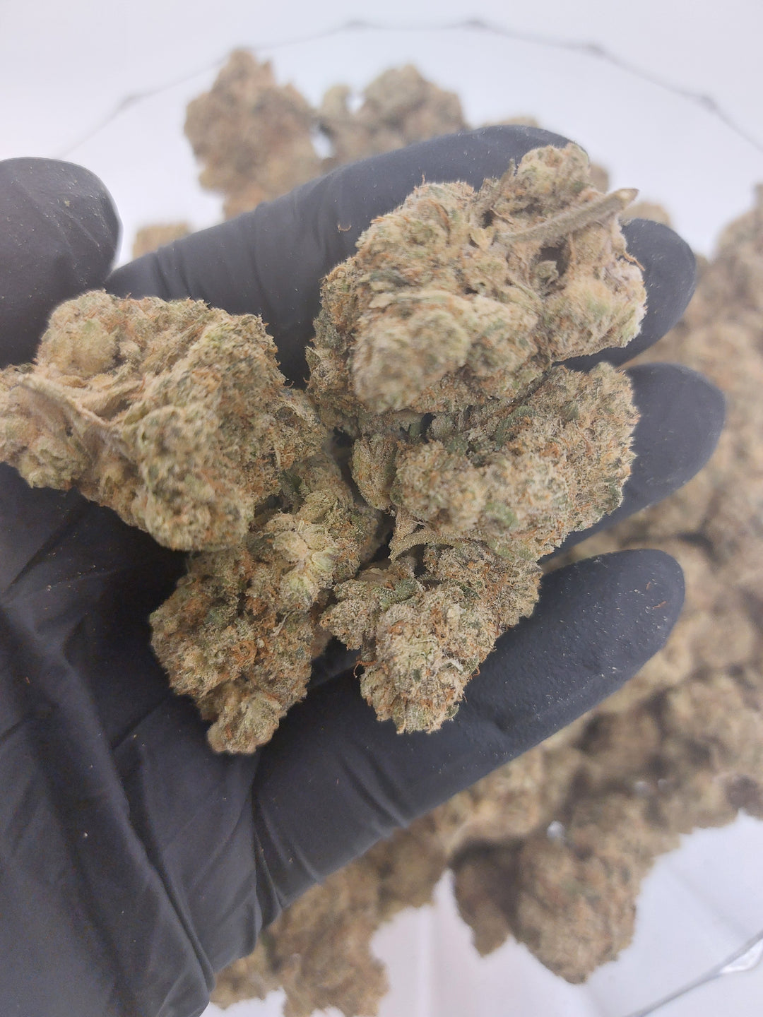 $140 Oz - Top Shelf Exotics - Purple Punch (Indica Hybrid)
