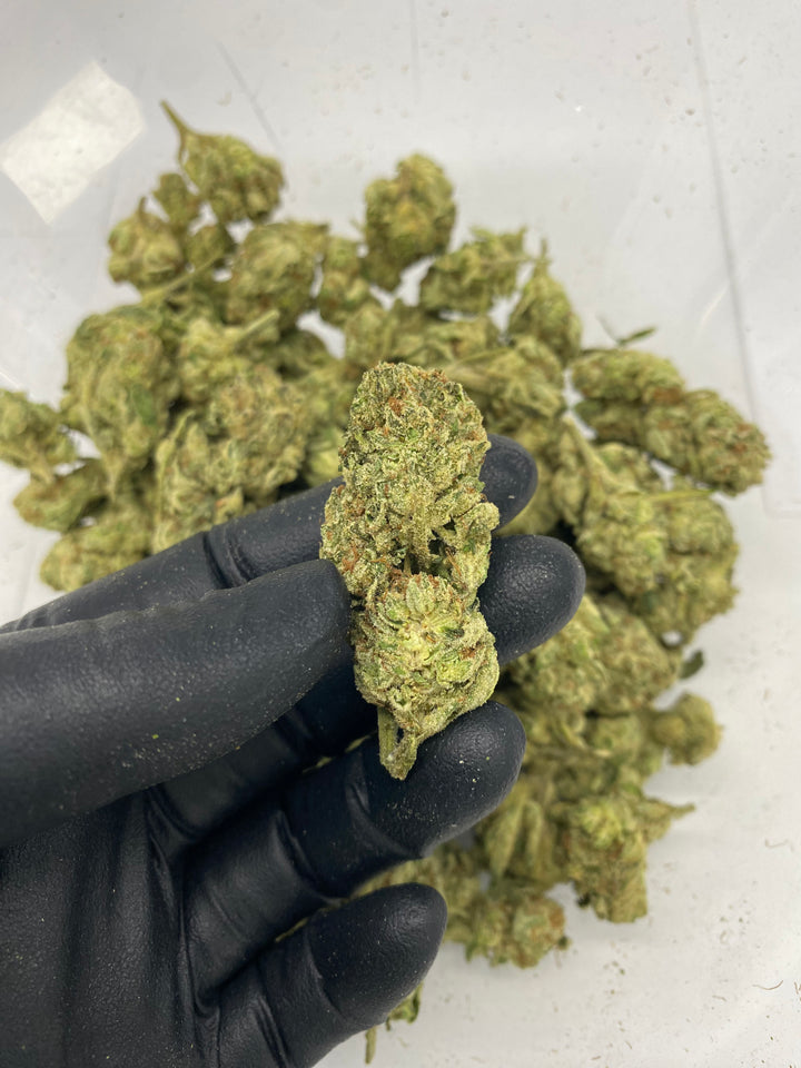 $99 Oz - Commercial Indoors -  Purple Push Pop - Flower