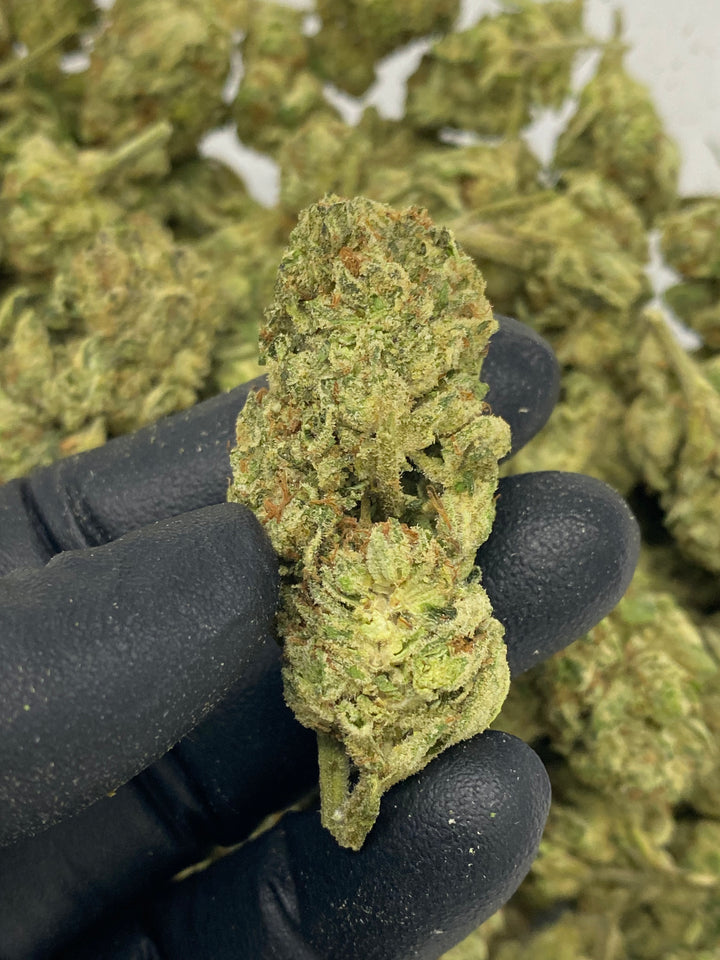 $99 Oz - Commercial Indoors -  Purple Push Pop - Flower