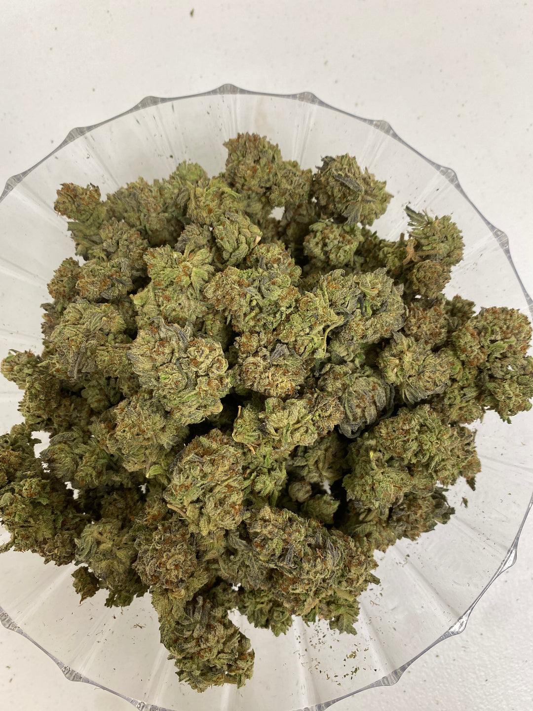 $140 Oz - Top Shelf Exotics - Rainbow Gelato (Indica Hybrid)