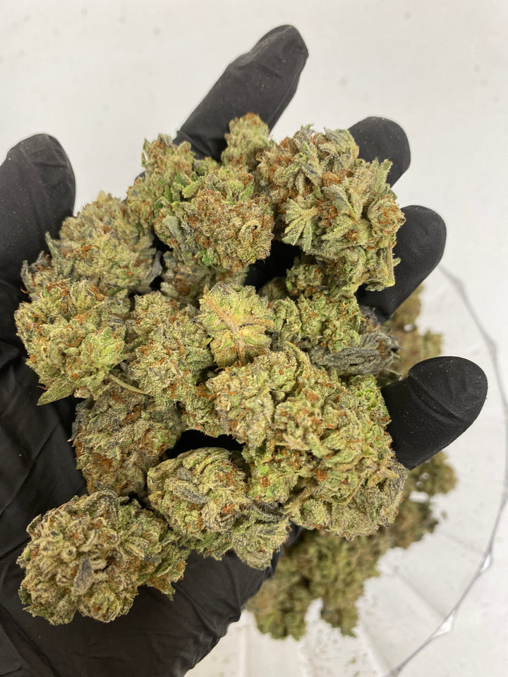 $140 Oz - Top Shelf Exotics - Rainbow Gelato (Indica Hybrid)