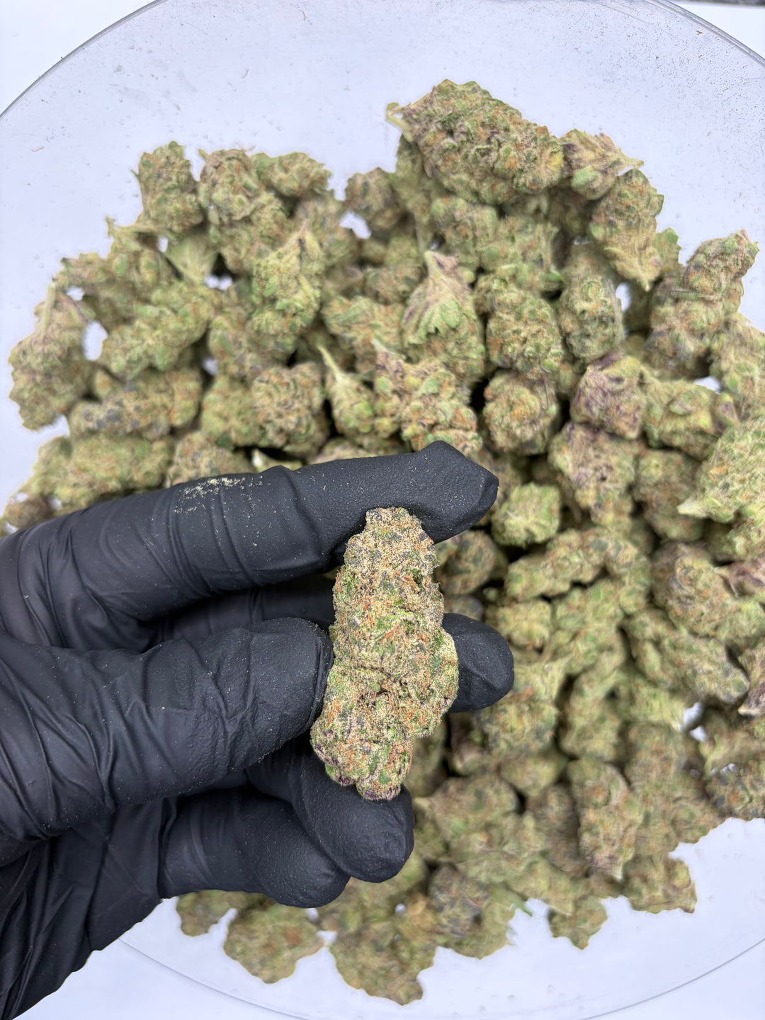 $99 Oz - Indoor Flower - Rocket Candy (Indica Hybrid)