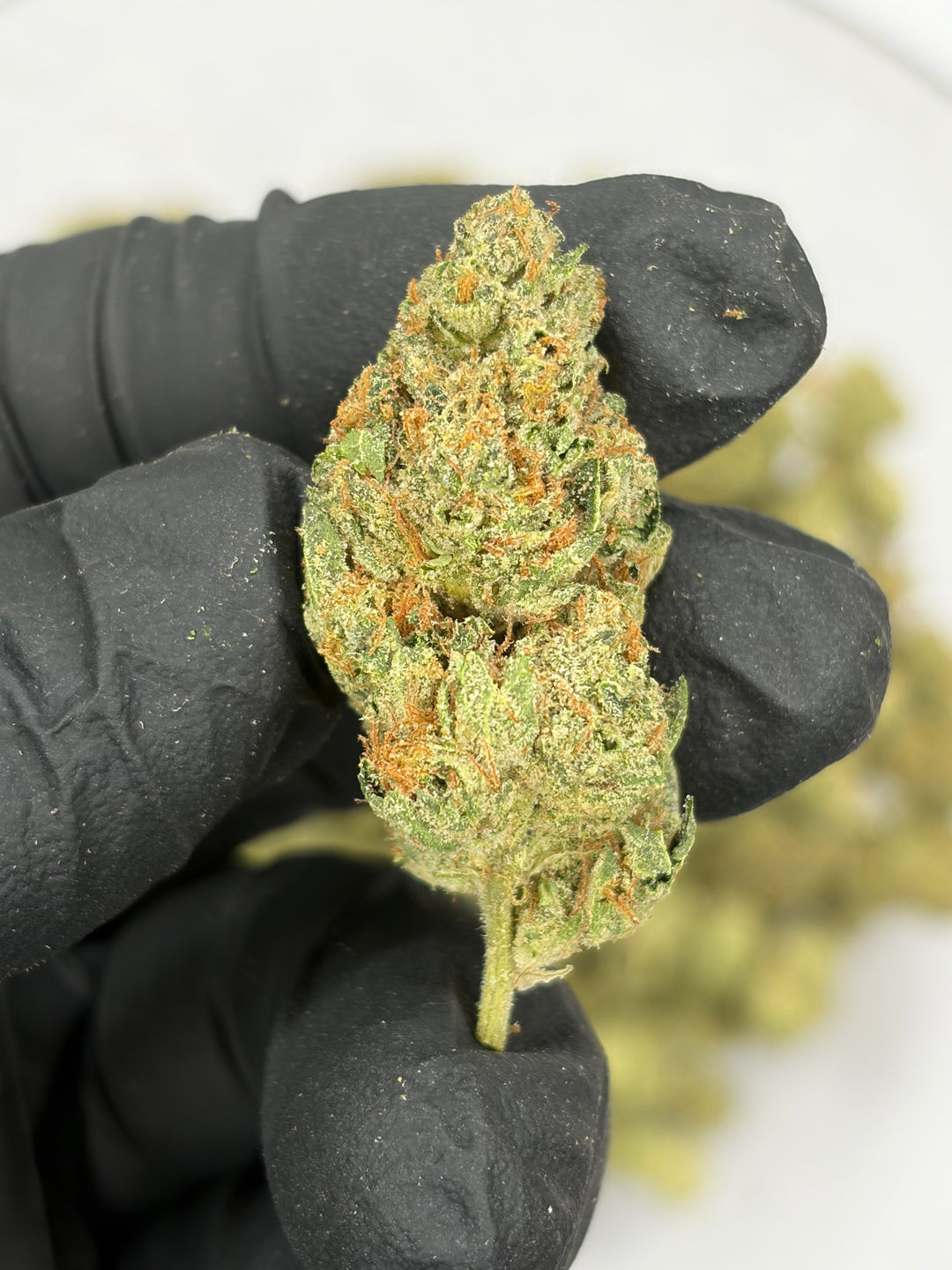 $99 Oz - Indoor Flower - Sherb Arelo (Hybrid)