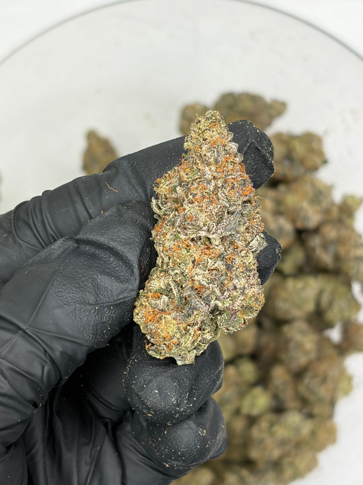 Indoor Exotics - Sherbanger - Flower