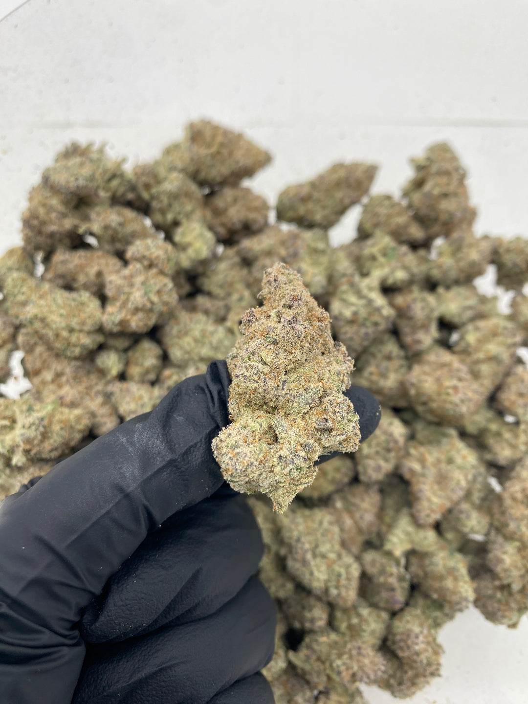 Indoor Exotics - Skeet Skeet - Flower