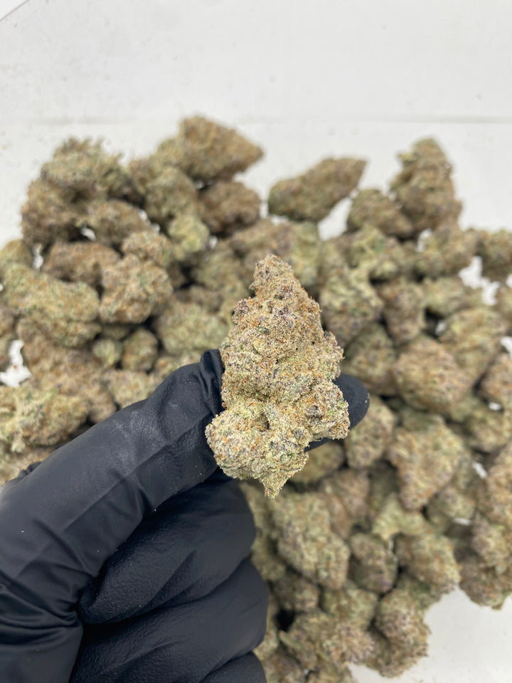 Indoor Exotics - Skeet Skeet - Flower