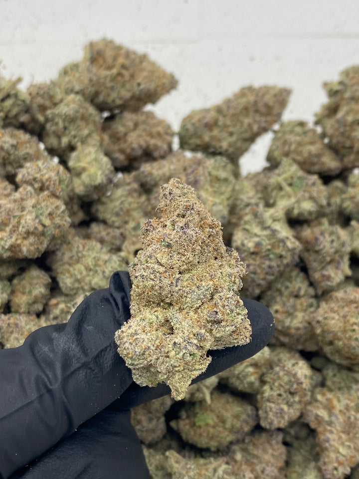 Indoor Exotics - Skeet Skeet - Flower