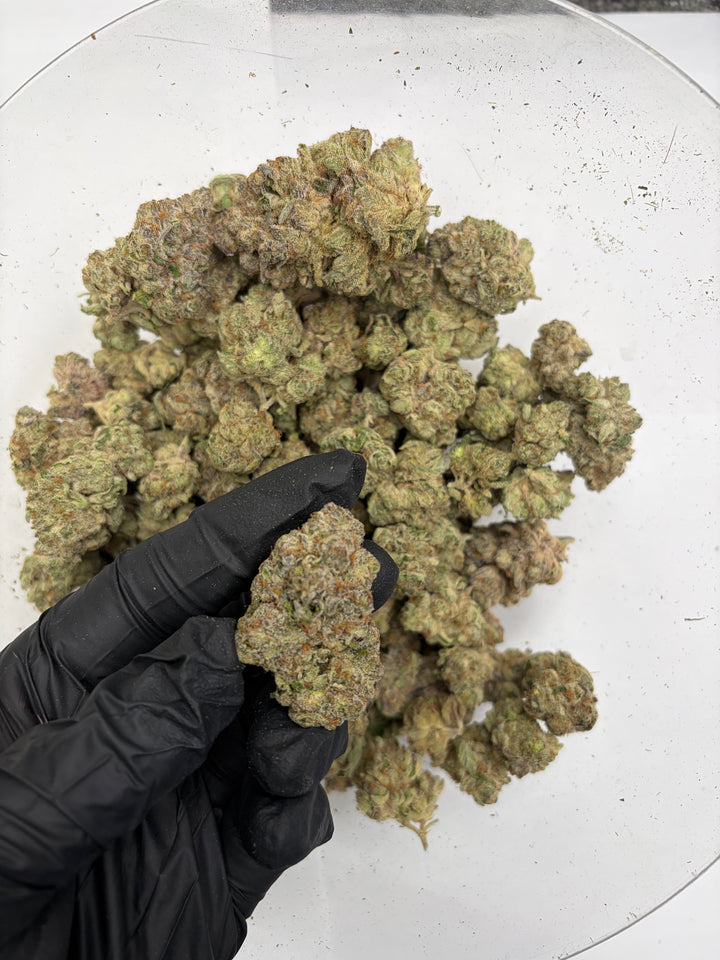 Indoor Exotics - Sour Gas - Flower