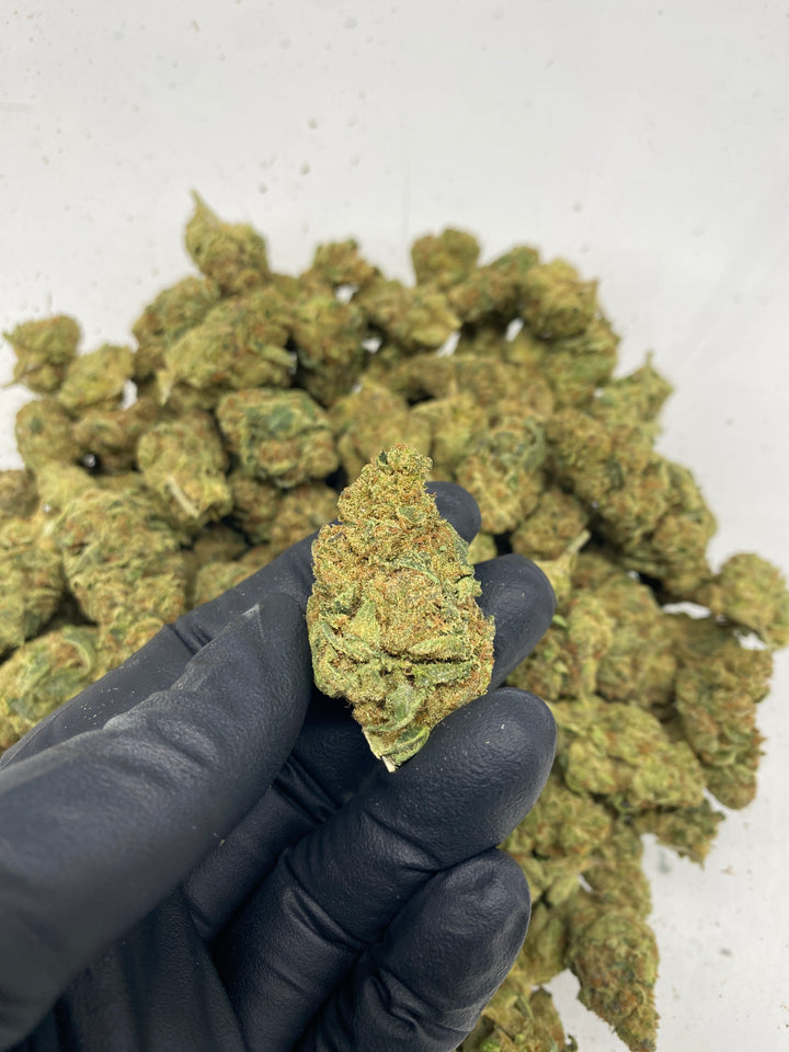 $99 Oz - Commercial Indoors - Space Queen - Flower