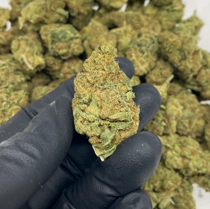 $99 Oz - Commercial Indoors - Space Queen - Flower