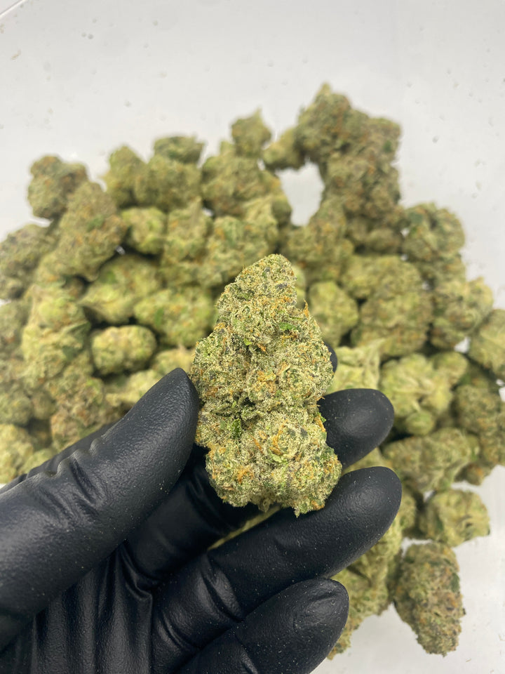 Indoor Exotics - Sugar Cookies - Flower