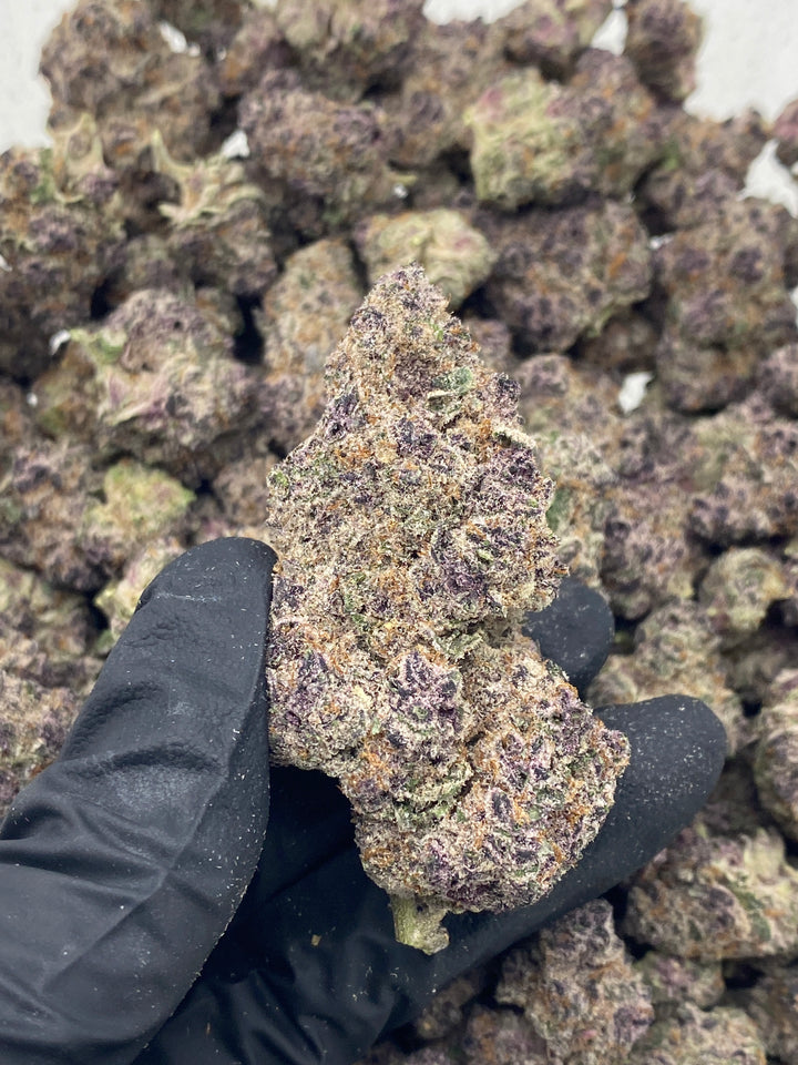 Indoor Exotics - Super Boof Cherry - Flower