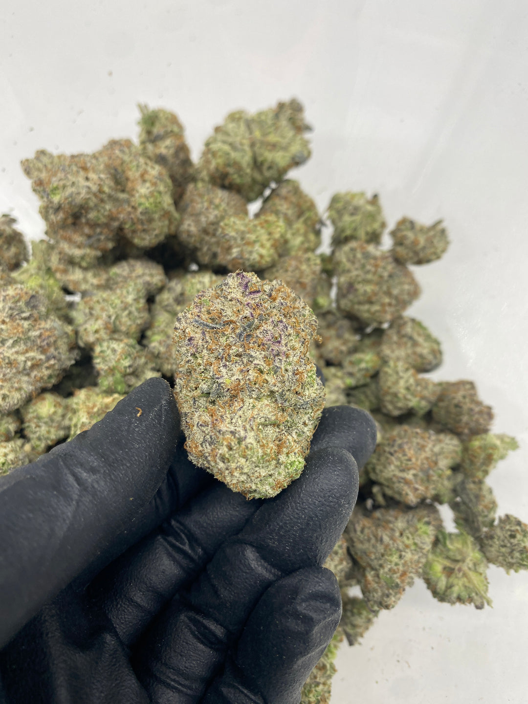 Indoor Exotics - White Gummies - Flower