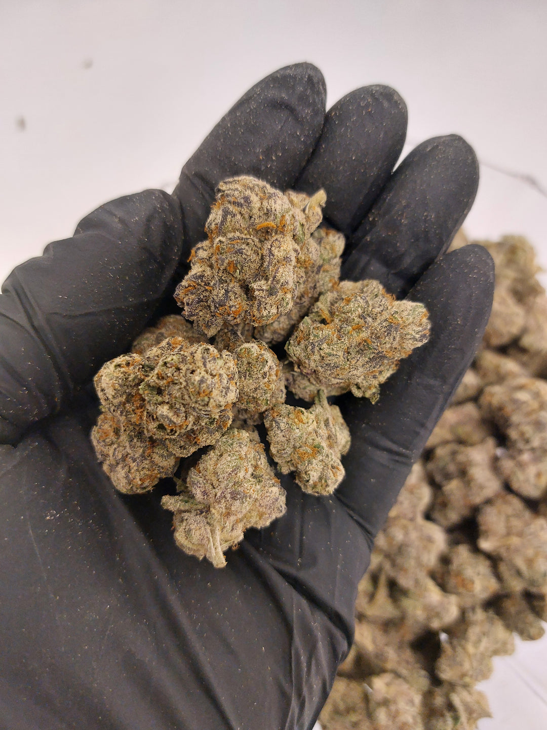 $140 Oz - Top Shelf Exotics - White Runtz x Pure Michigan (Hybrid)