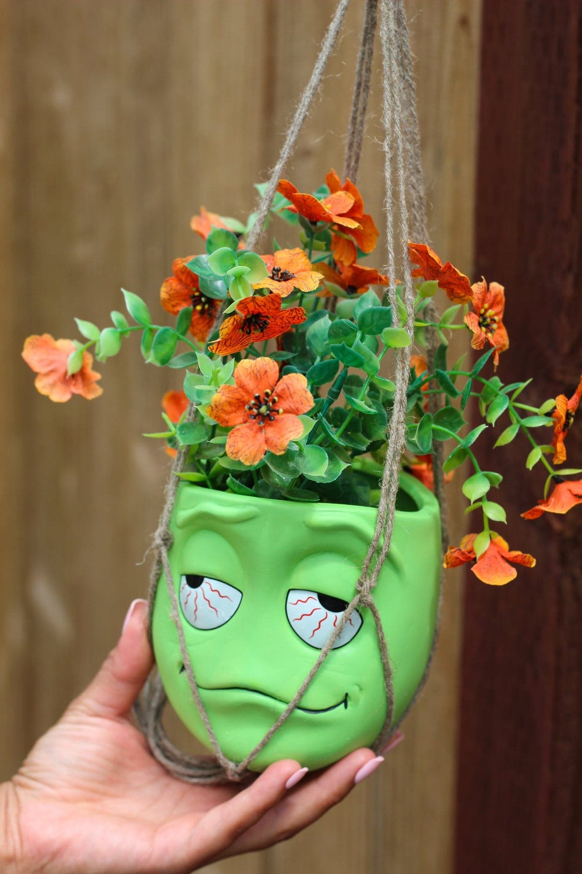 pothead planters Pothead Hanging Planter – SWL