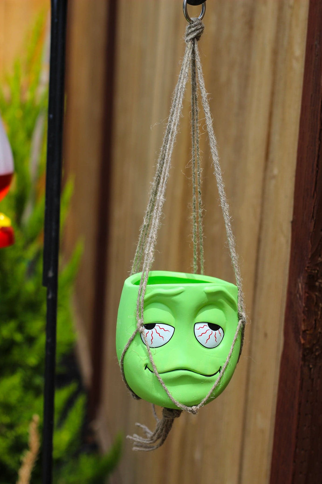 pothead planters Pothead Hanging Planter – SWL