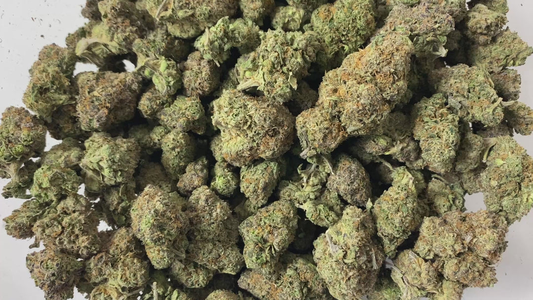 Indoor Exotics - Northern Lights - Flower