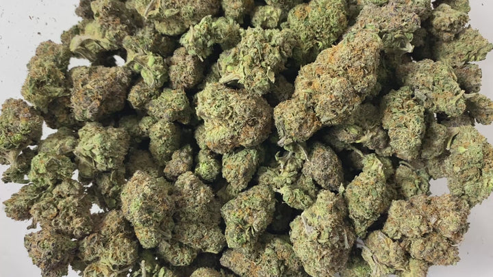Indoor Exotics - Northern Lights - Flower