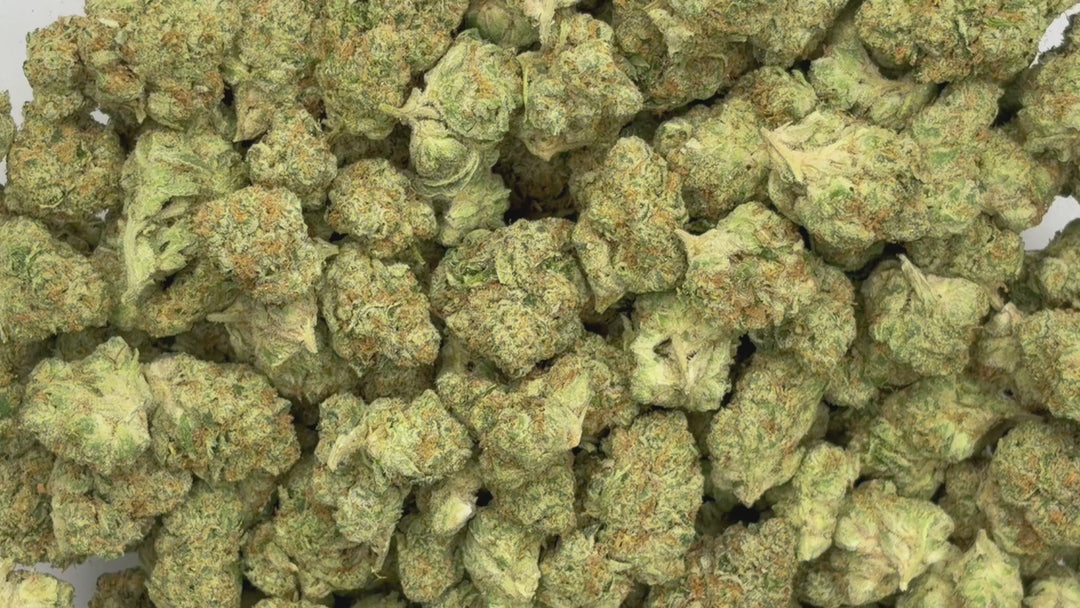 $99 Oz - Indoor Flower - Sherb Arelo (Hybrid)