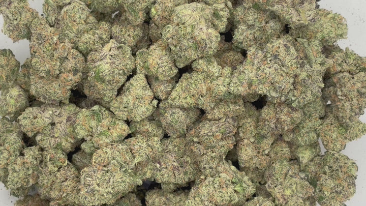 Indoor Exotics - Cherry Garcia - Flower