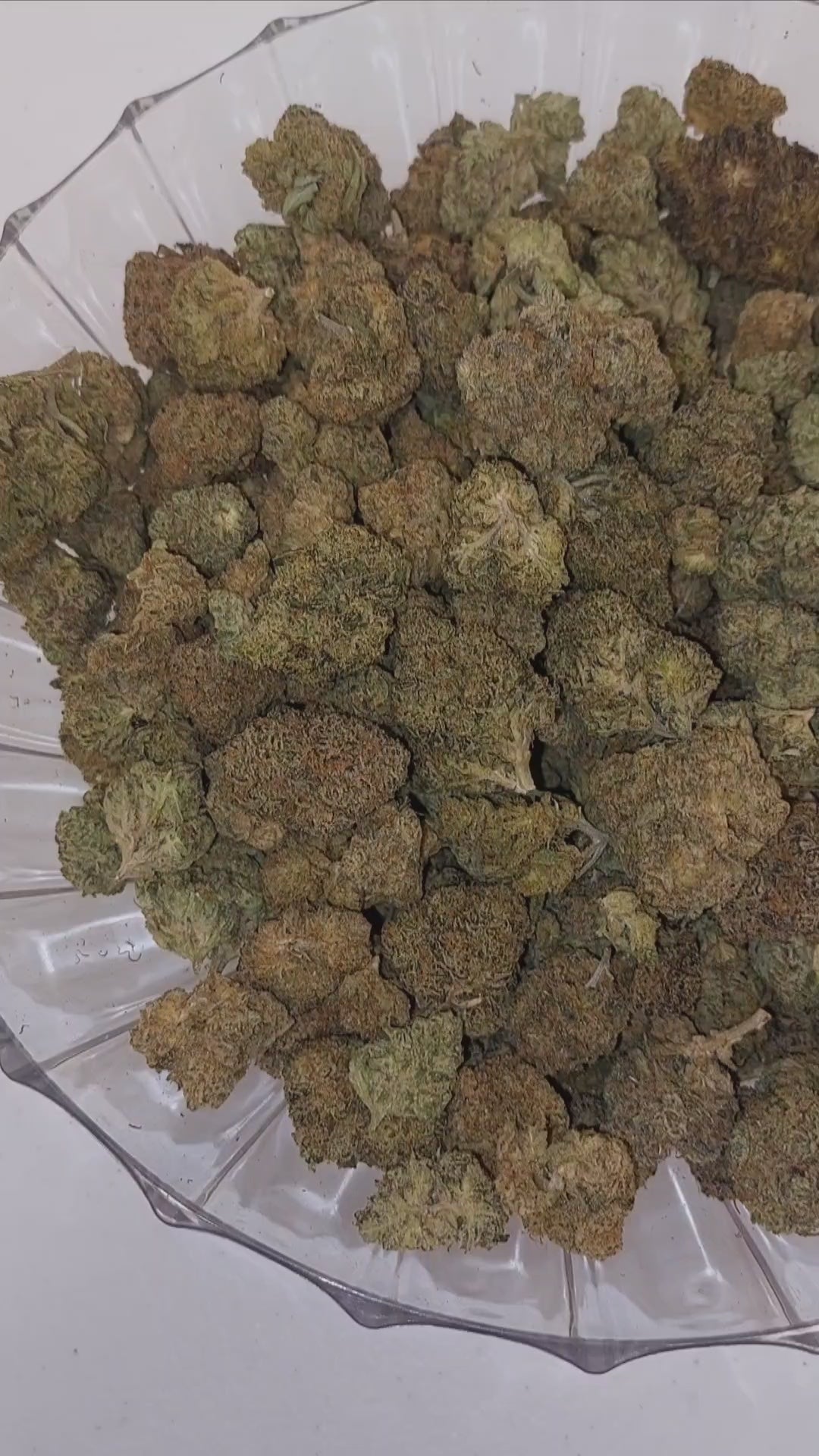$140 Oz - Top Shelf Exotics - Candy Gas (Hybrid)