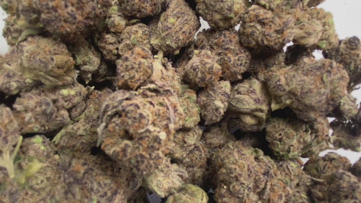 Indoor Exotics - Blueberry Pancake - Flower