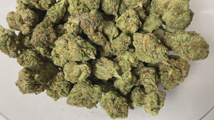 Commercial Indoors - Blueberry - Flower