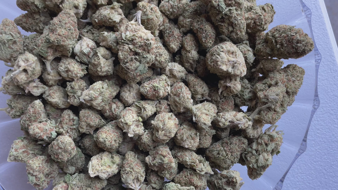 $99 Oz - Indoor Flower - Jungle Juice (Sativa Hybrid)