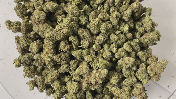 Indoor Exotics - Hashburger - Flower