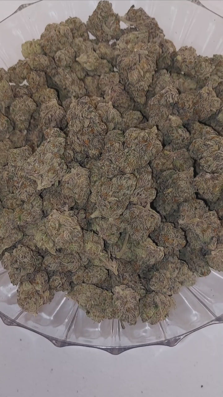$140 Oz - Top Shelf Exotics - White Runtz x Pure Michigan (Hybrid)