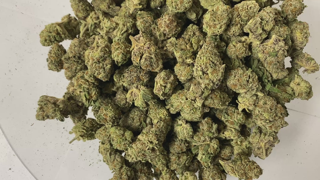 $99 Oz - Commercial Indoors - OG LA Affie - Flower