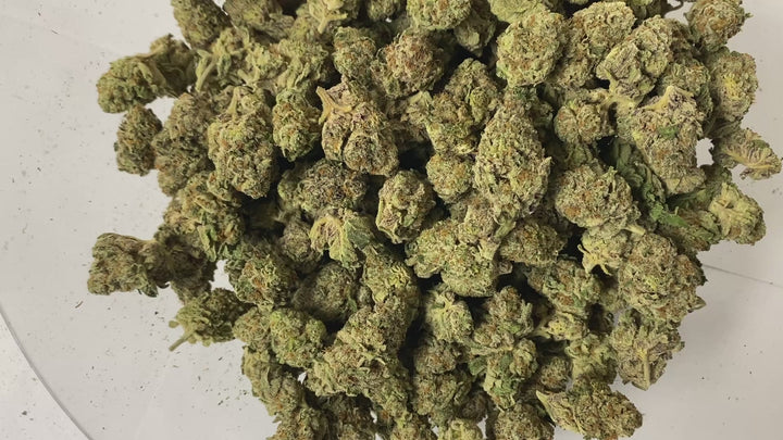 $99 Oz - Commercial Indoors - OG LA Affie - Flower