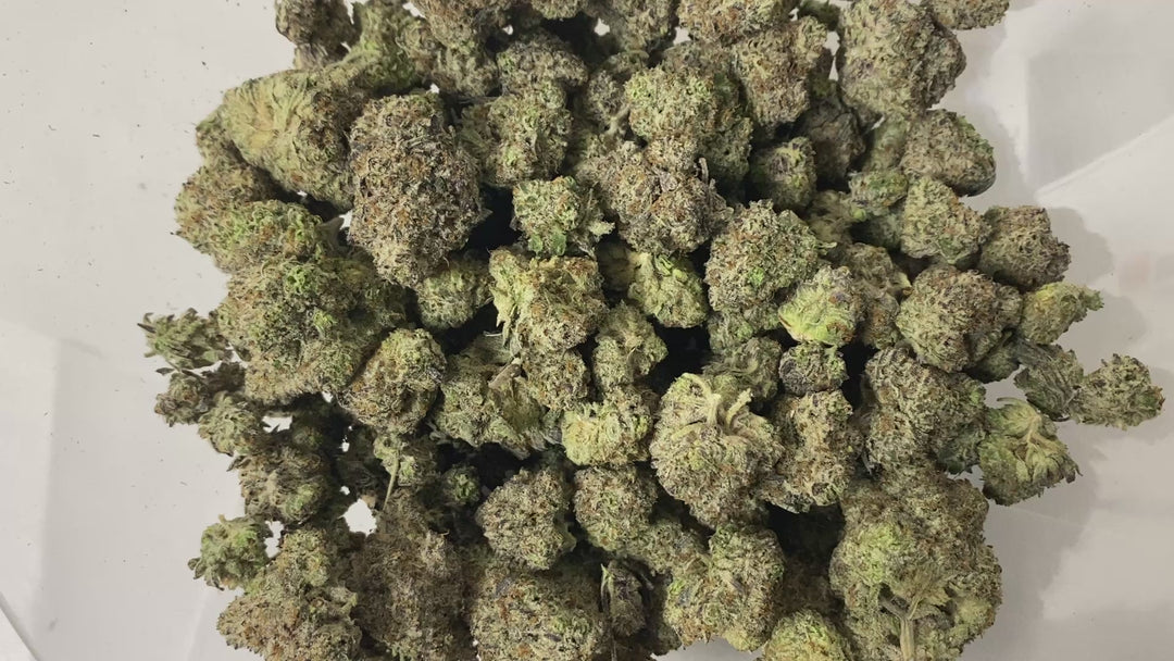 Indoor Exotics - White Gummies - Flower