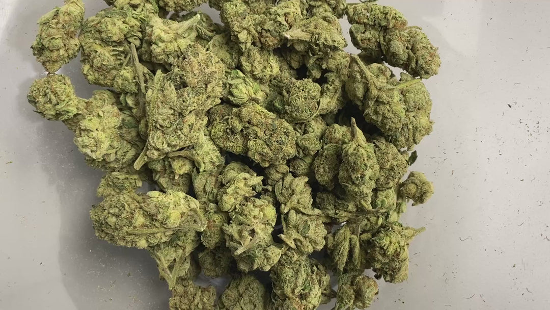 $99 Oz - Commercial Indoors -  Purple Push Pop - Flower