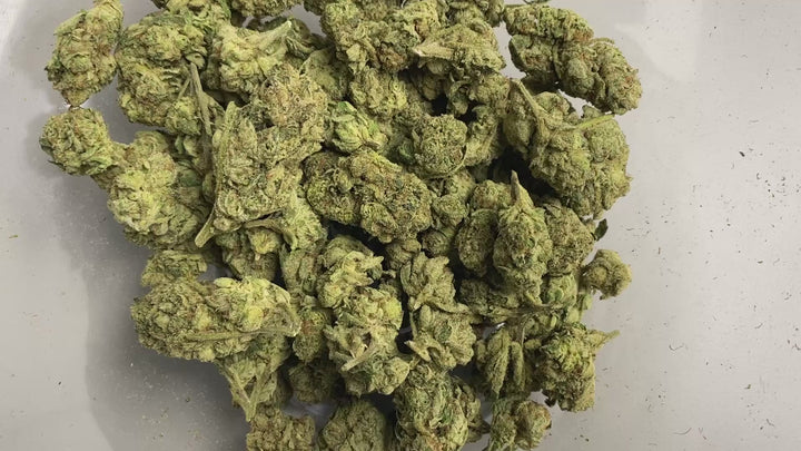 $99 Oz - Commercial Indoors -  Purple Push Pop - Flower