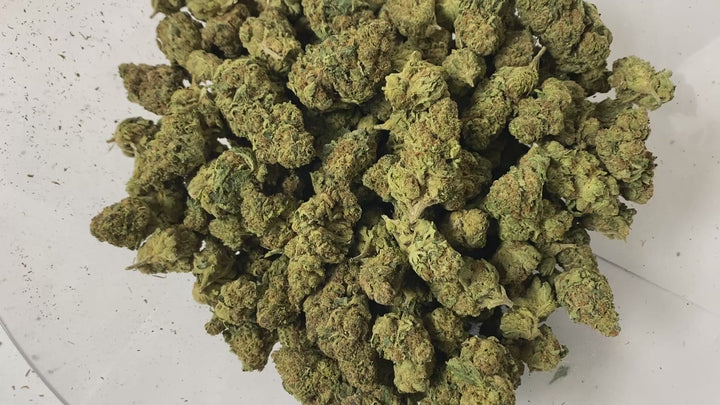 $99 Oz - Commercial Indoors - Space Queen - Flower