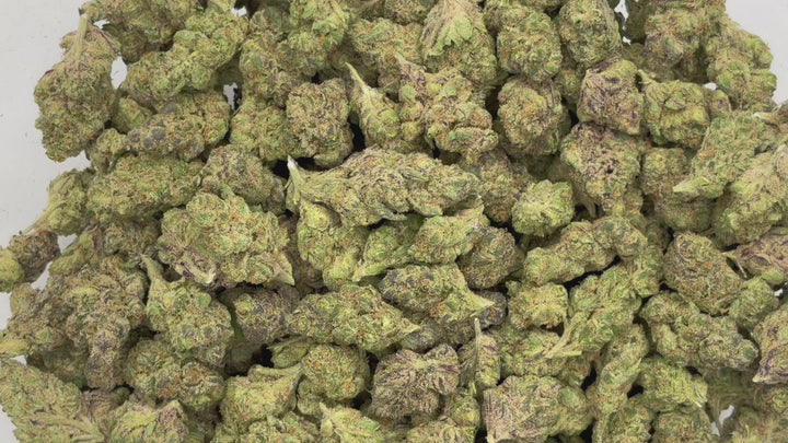 $99 Oz - Indoor Flower - Rocket Candy (Indica Hybrid)
