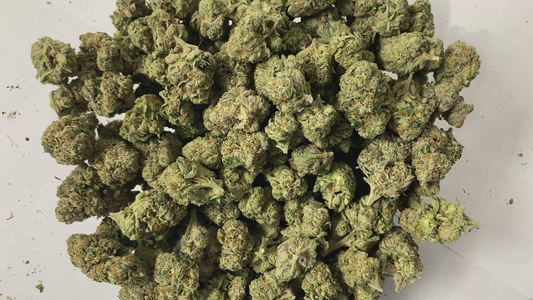 $99 Oz - Commercial Indoors - High Society - Flower