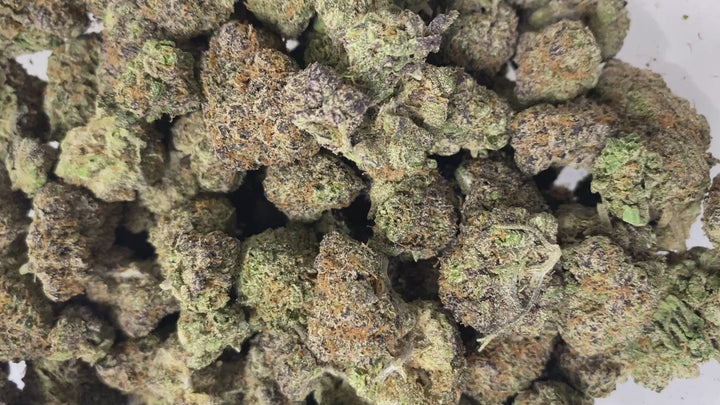 Indoor Exotics - Lemon Cherry Gelato - Flower