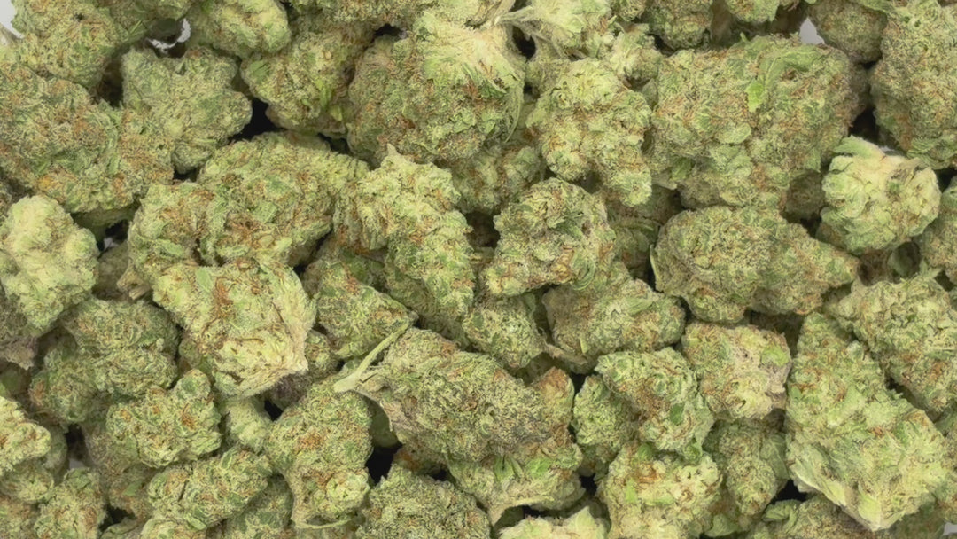 $99 Oz - Indoor Flower - Passion #1 (Indica Hybird)