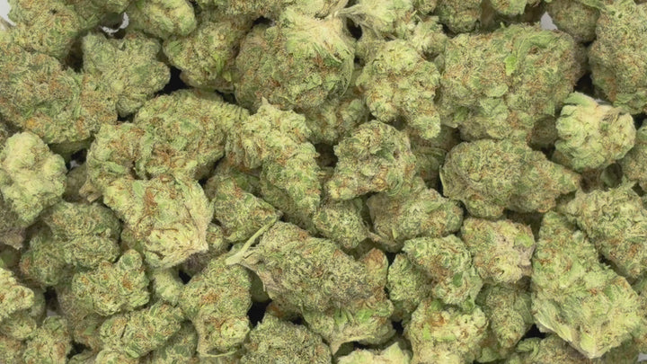 $99 Oz - Indoor Flower - Passion #1 (Indica Hybird)