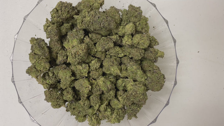 $99 Oz - Indoor Flower - Dosi RQ (Indica Hybrid)